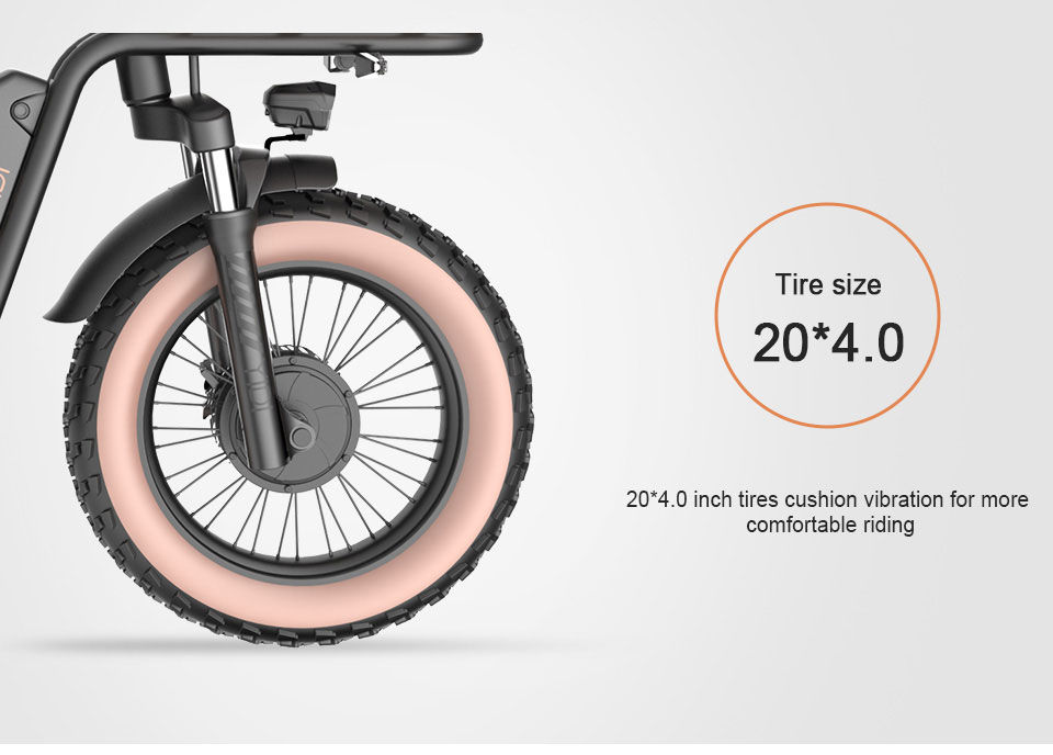 Z-3 18V 48V 22H 52KMH Lenggang Listrik Listrik Bike Lithium Detail02