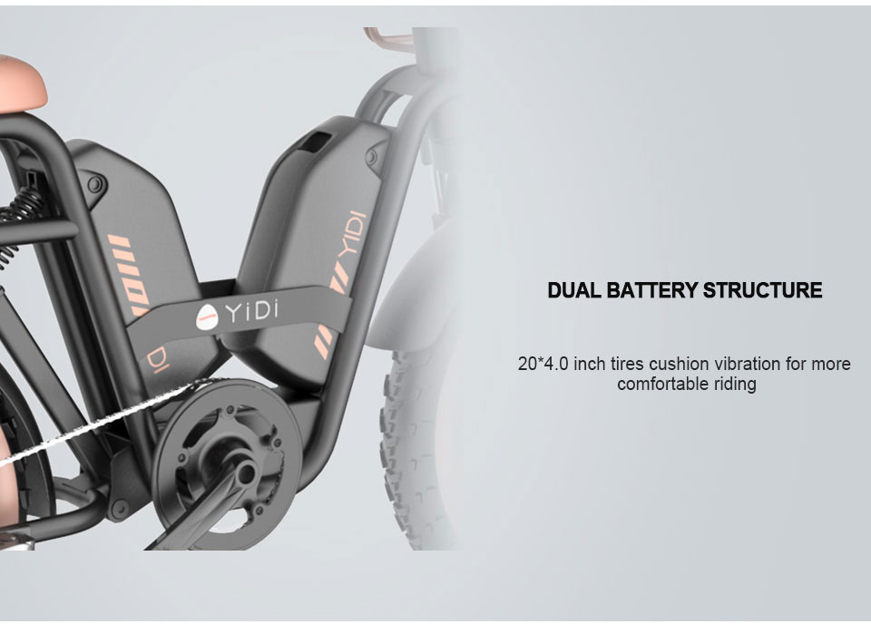 Z-3 18V 48v 22Ag 52Kmh Lampung Baterei Listrik Bike Lithium Detail03