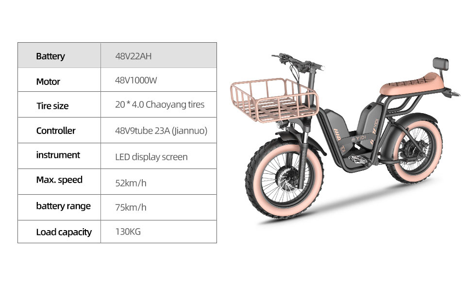 Z-3 1000W 48V 22Ah 52kmh Extended Seat Lithium Battery Electric Bike Detail04