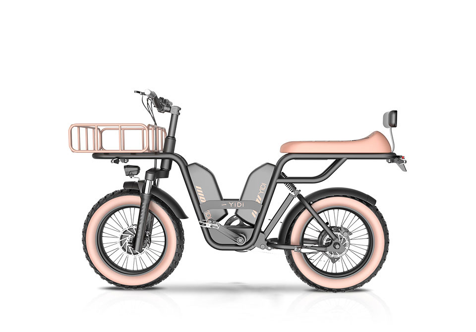 Z-3 18TW 48v 4H2PMH 52kmh Lampung Baterei Lambang Listrik Bike Detail09