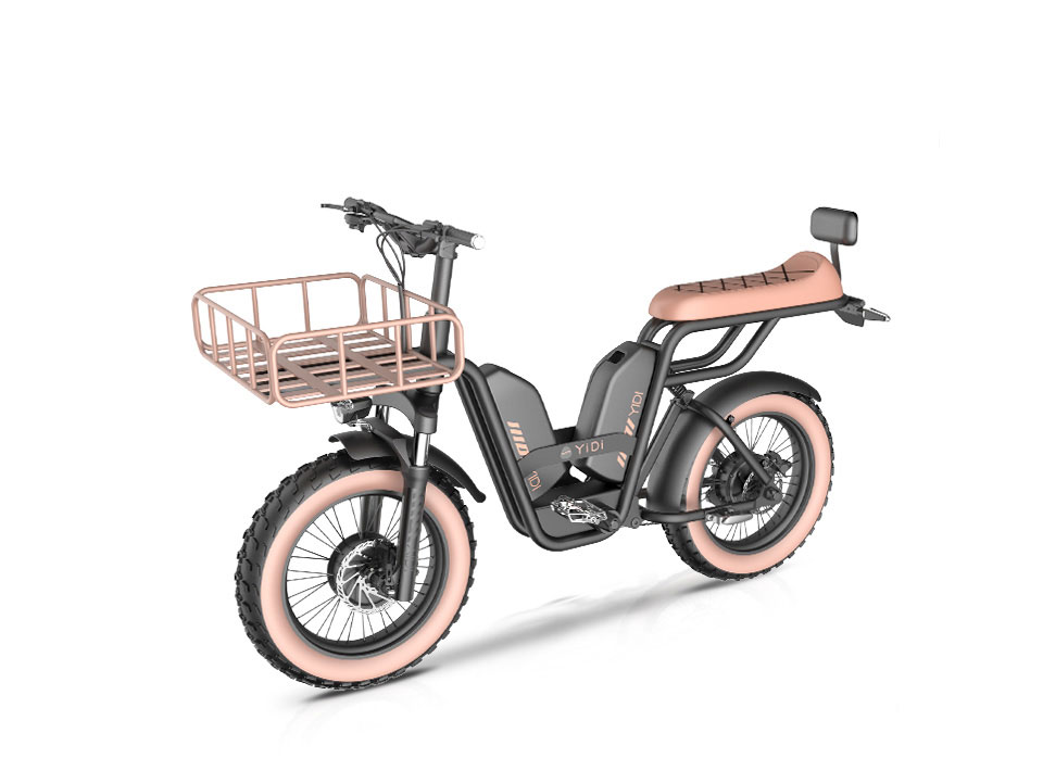 Z-3 1000W 48V 22Ah 52kmh Extended Seat Lithium Battery Electric Bike Detail10