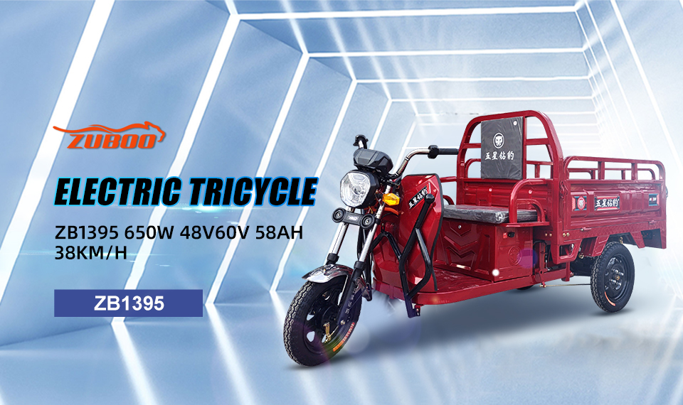 ZB1395 650W 48V 60V 58Ah 38Km/H Lead Acid Battery Electric Tricycle