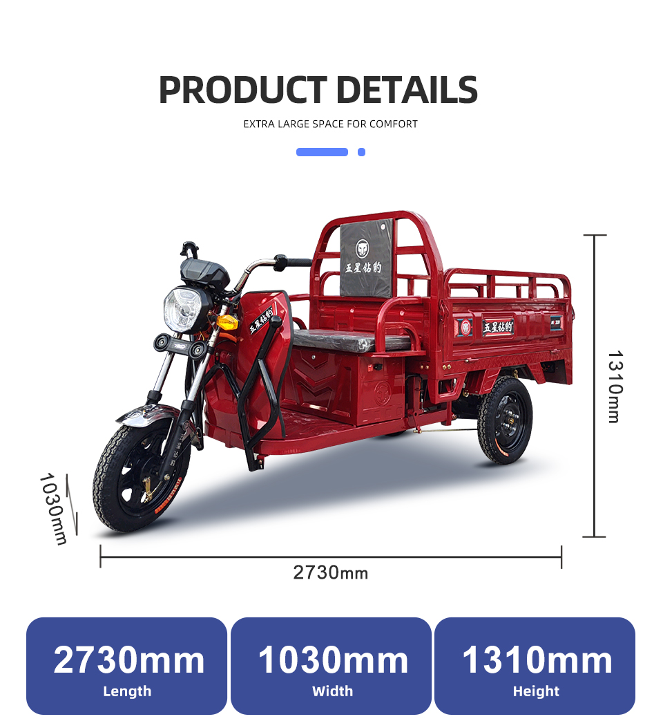 zb1395 650W 48V 60V 58 អង្សាសេ 38 គីឡូម៉ែត្រ / ហួរ / ហួរត្រីចក្រយានយន្តអដរអគ្គិសនី