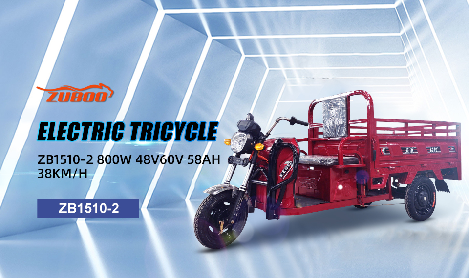 ZB1510-2 800W 48V 60V 58AH 38km/h lead acid betri ya umeme tricycle