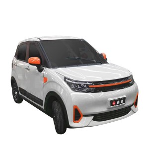 high quality 3000W 60V 80A 43kmh 80-100km LOW-SPEED E-VEHICLE (1)