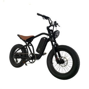 X6 Electric Bicycle Cyclemix